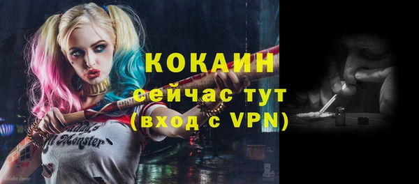 молекула духа Приозерск