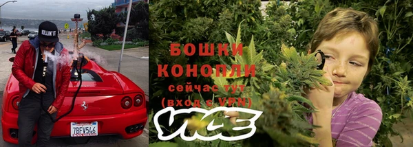дживик Протвино