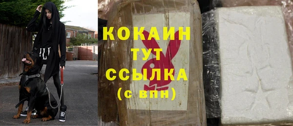 дживик Протвино