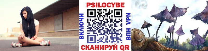 Псилоцибиновые грибы прущие грибы  Купить  Алейск